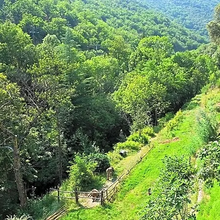 Bed & Breakfast Le Clarou Et D'hotes 3*