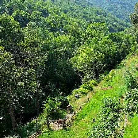Le Clarou Et D'hôtes 3* Valleraugue
